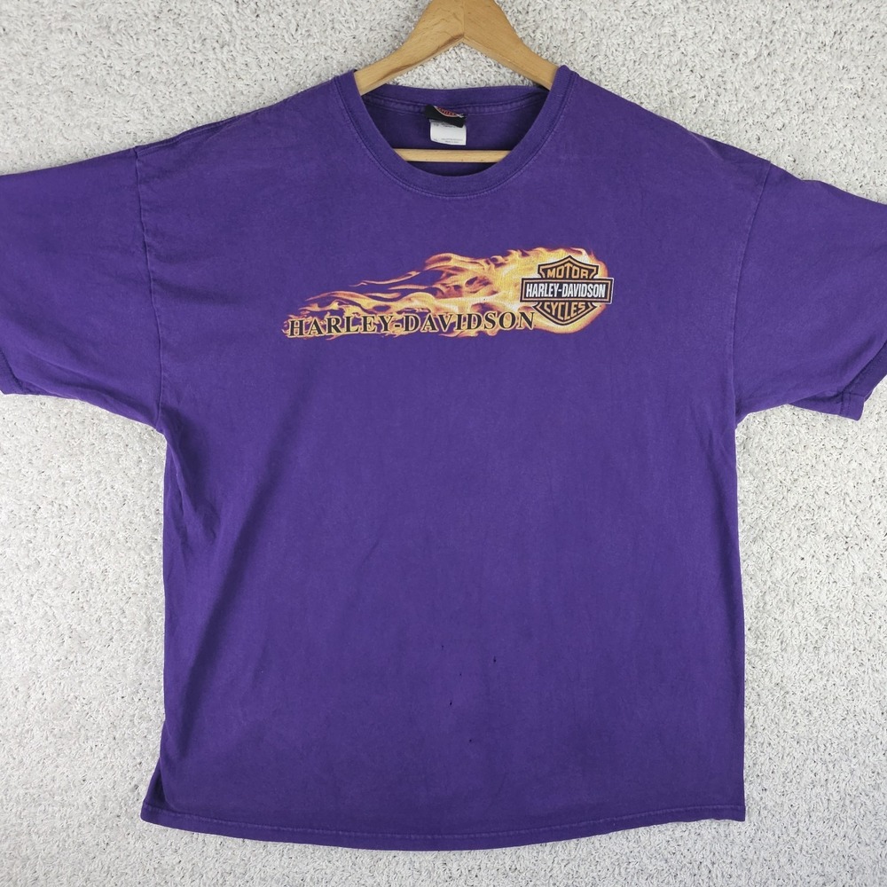 Harley-Davidson Twin Cities Minnesota T-Shirt‎ Menx XL Purple Viking Flames 2010